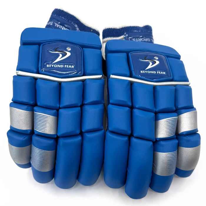 DS 1.0 Cricket Batting Set Blue