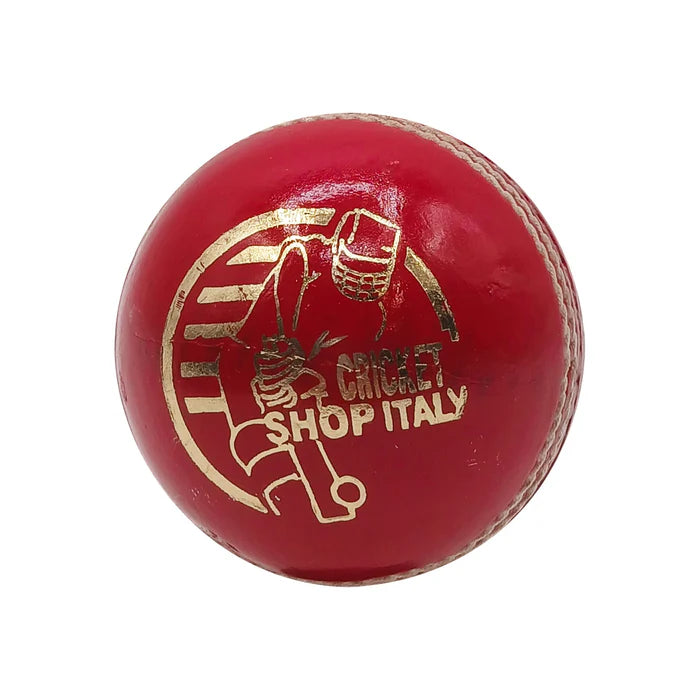 DS D1 Alum Leather Cricket Ball