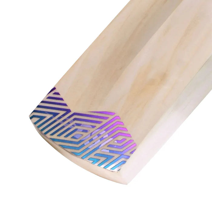 DSC RS Exclusiv Kashmir Willow Cricket Bat
