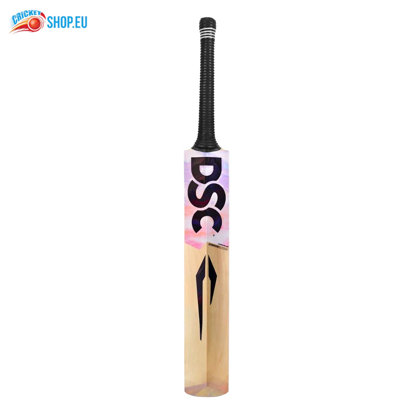 DSC Condor Blitzer Kashmir Willow Cricket Bat