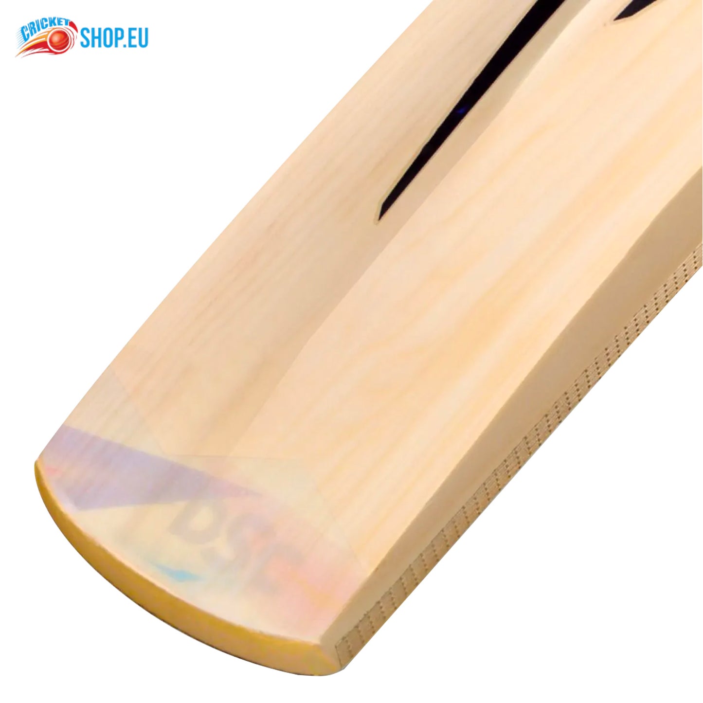 DSC Condor Blitzer Kashmir Willow Cricket Bat