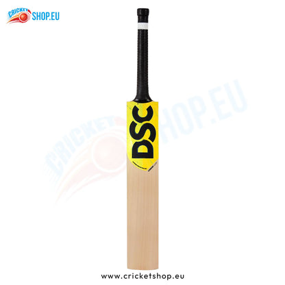 DSC Condor Glider English Willow Cricket Bat