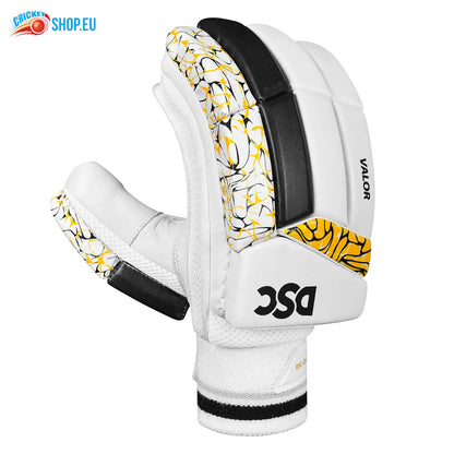 DSC Valor Cricket Batting Gloves