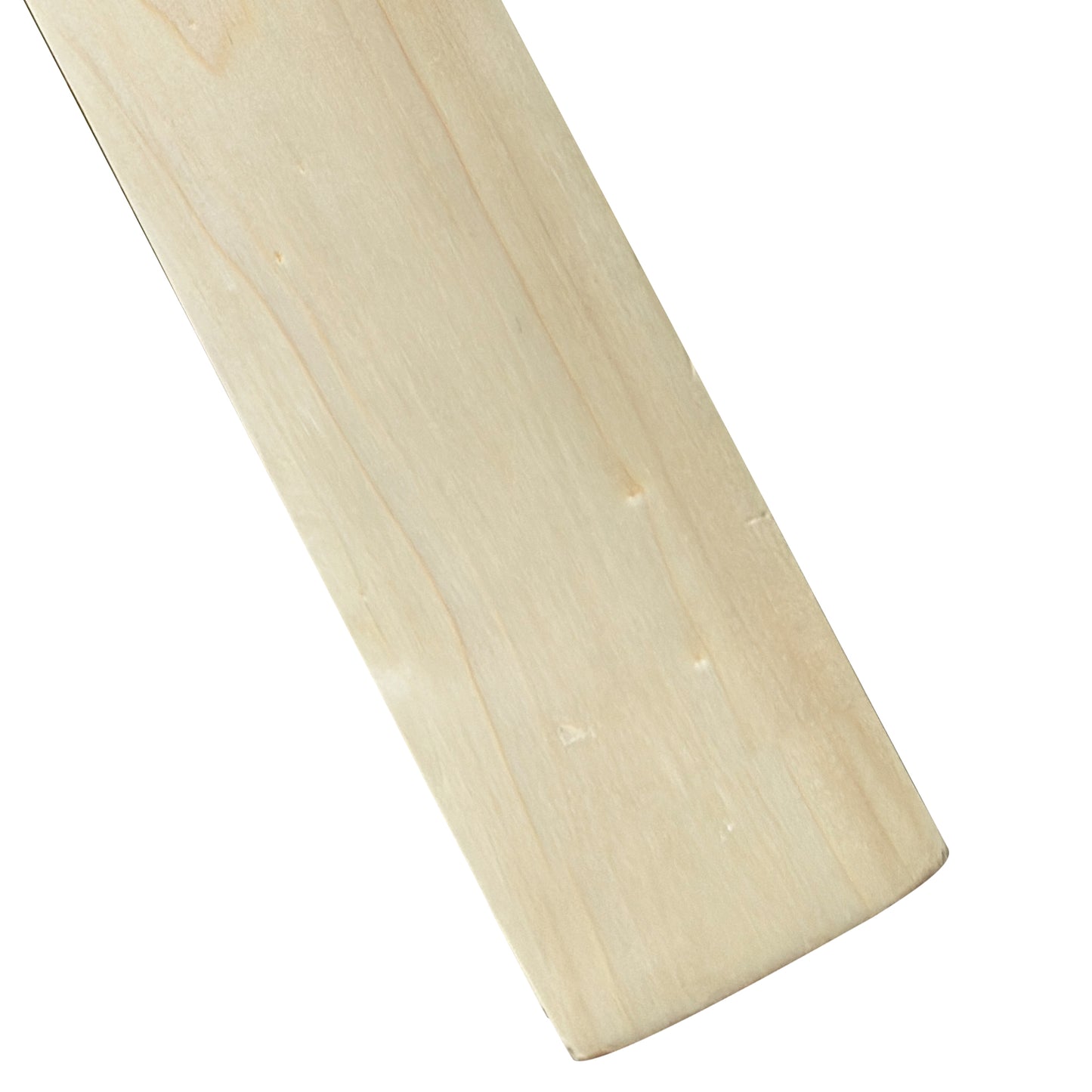 F Plus TM Edition MRI Hard Tennis Bat
