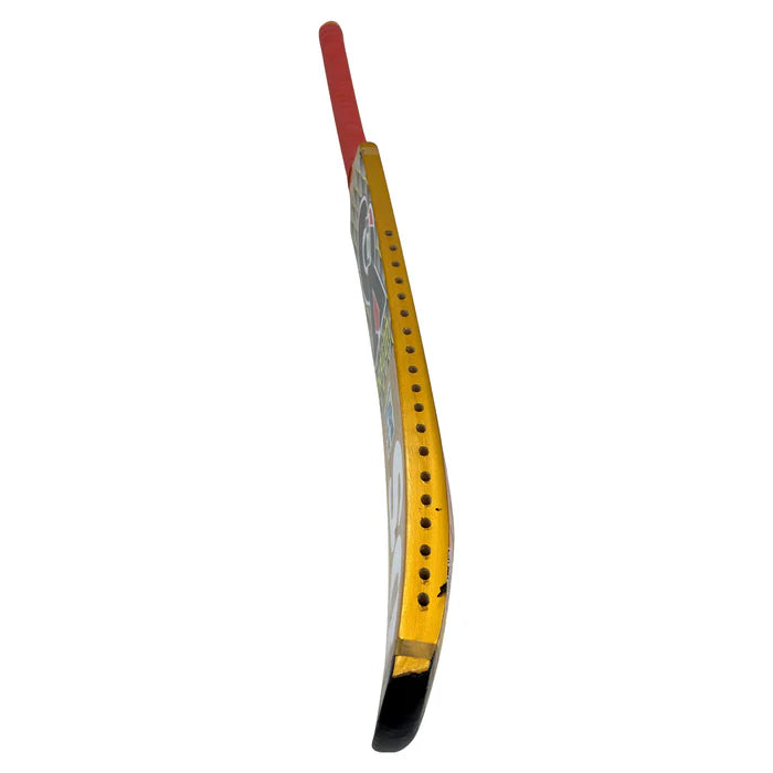 GA Dragon Tape Ball Cricket Bat