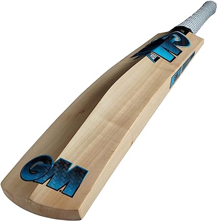 Gunn And Moore Diamond 101 Junior Kashmir Willow Cricket Bat