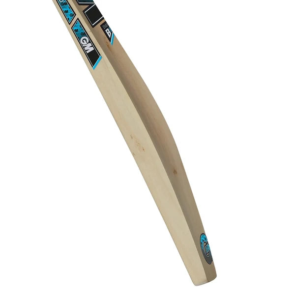 Gunn And Moore Diamond 101 Junior Kashmir Willow Cricket Bat