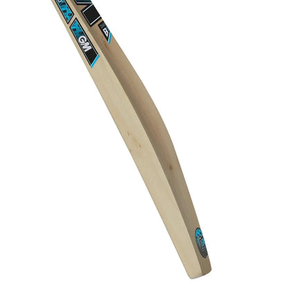 Gunn And Moore Diamond 101 Junior Kashmir Willow Cricket Bat
