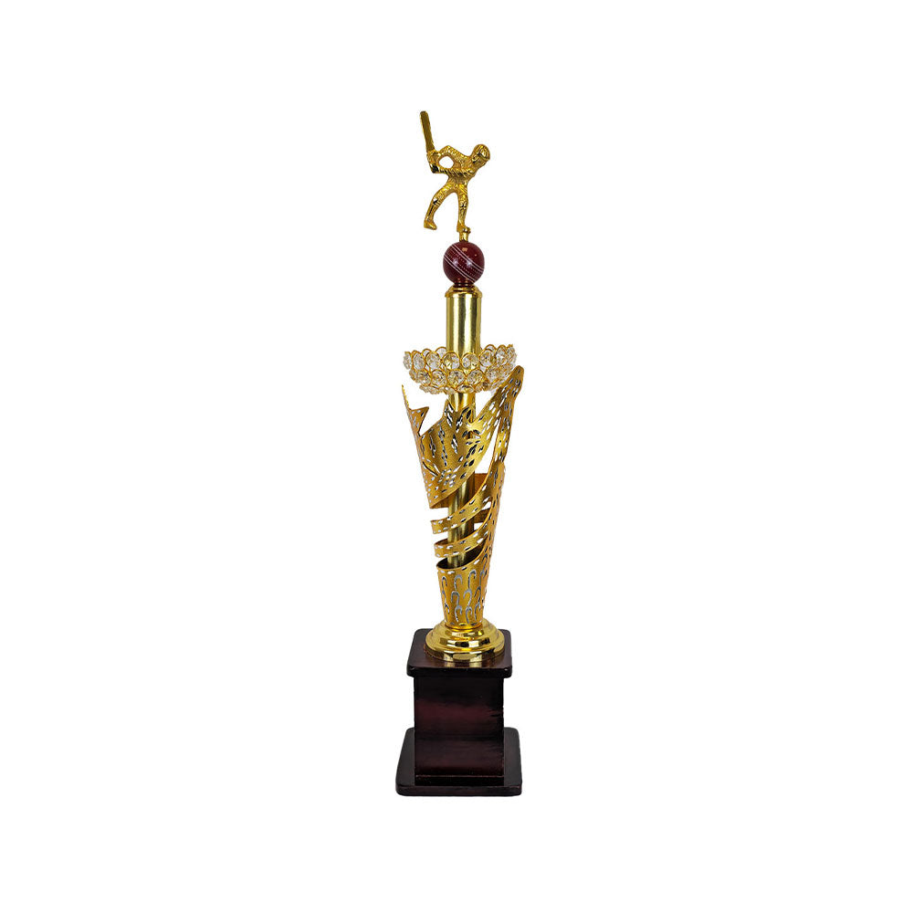 Iconic Cricket Trophy