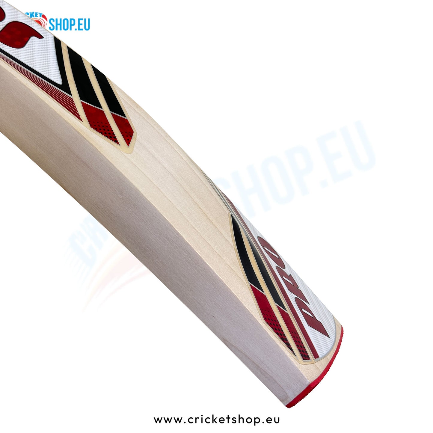 Protos Internatus English Willow Cricket Bat