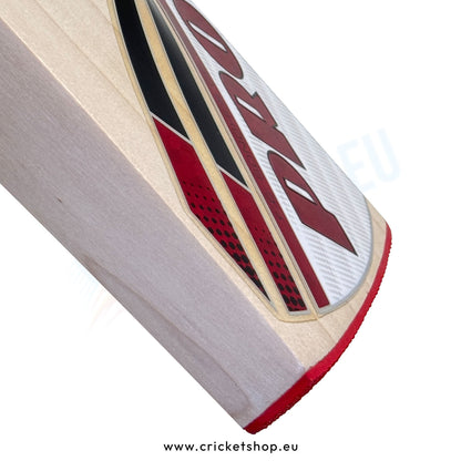 Protos Internatus English Willow Cricket Bat