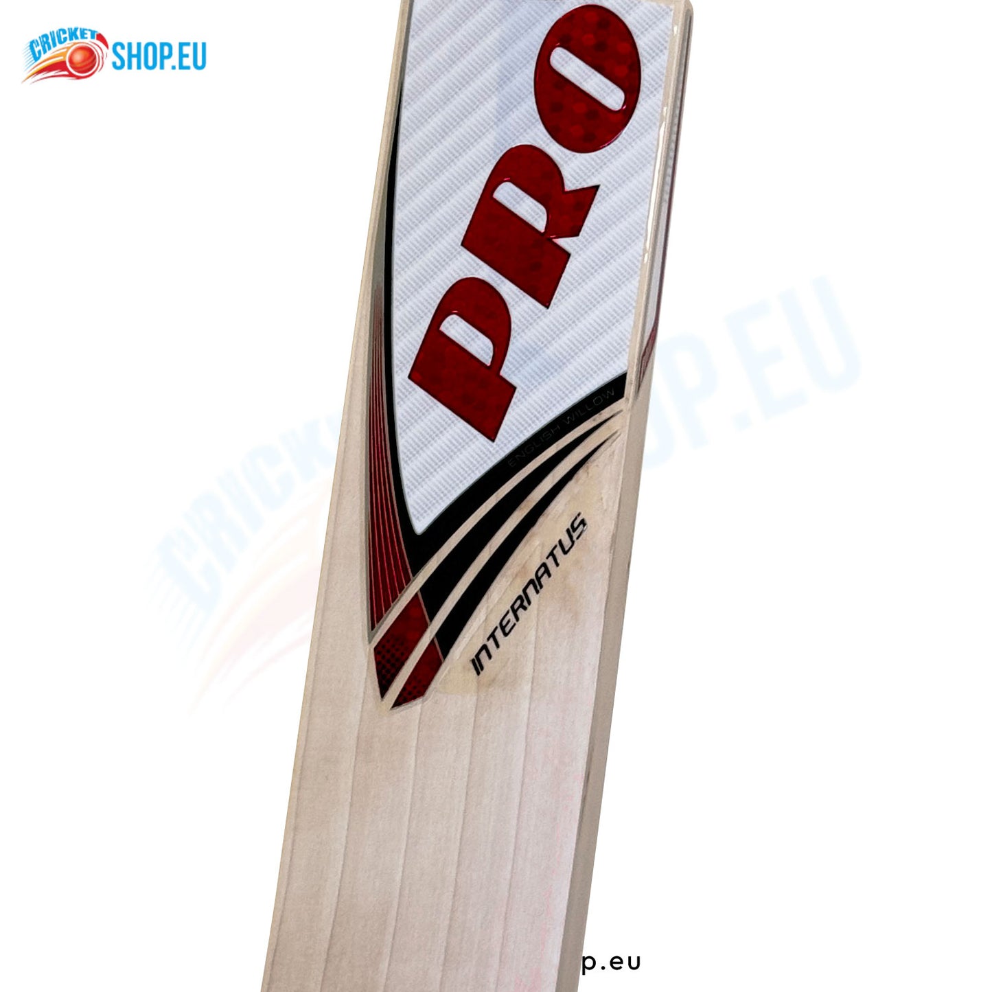 Protos Internatus English Willow Cricket Bat