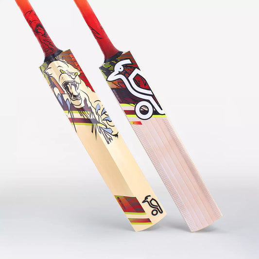 Kookaburra Beast 9.1 Kashmir Willow Junior Cricket Bat