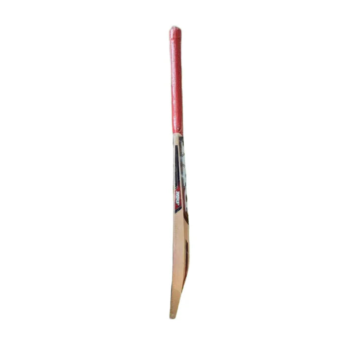 MRF Prodigy Junior Kahmir Willow Cricket Bat