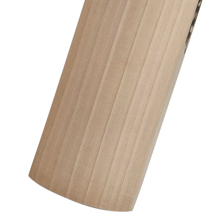 MRF Warrior Hero English Willow Cricket Bat