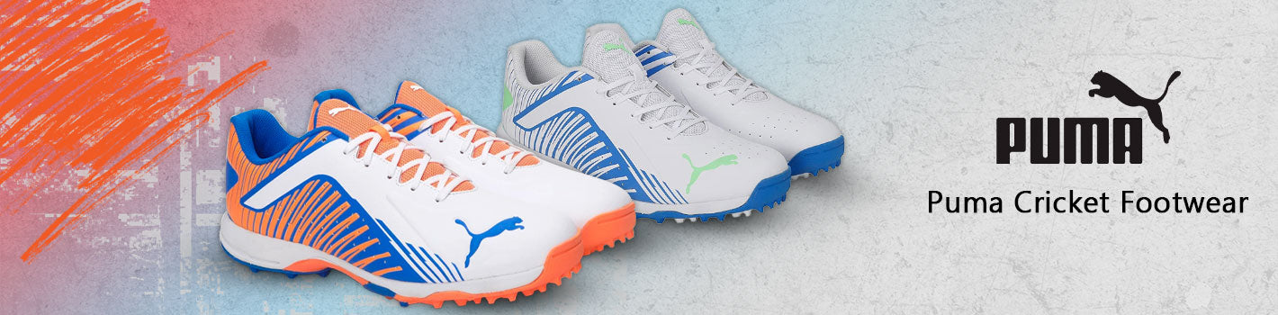 Puma Cricket Footwear