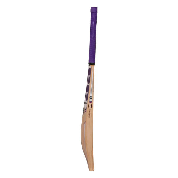 SS Blast English Willow Cricket Bat SH
