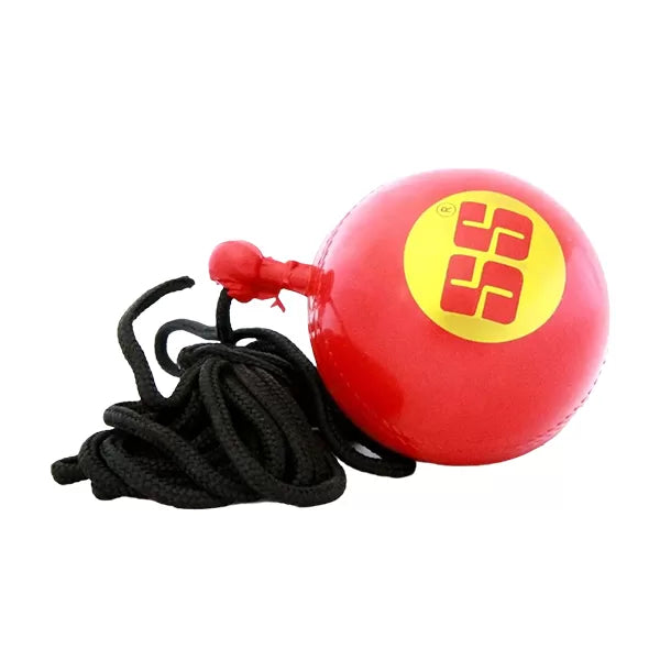 SS Cricket Ball-Hanging Ball