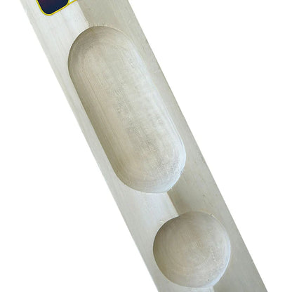 SS Soft Pro Premium Player Scoop Kashmir Willow Cricket Bat
