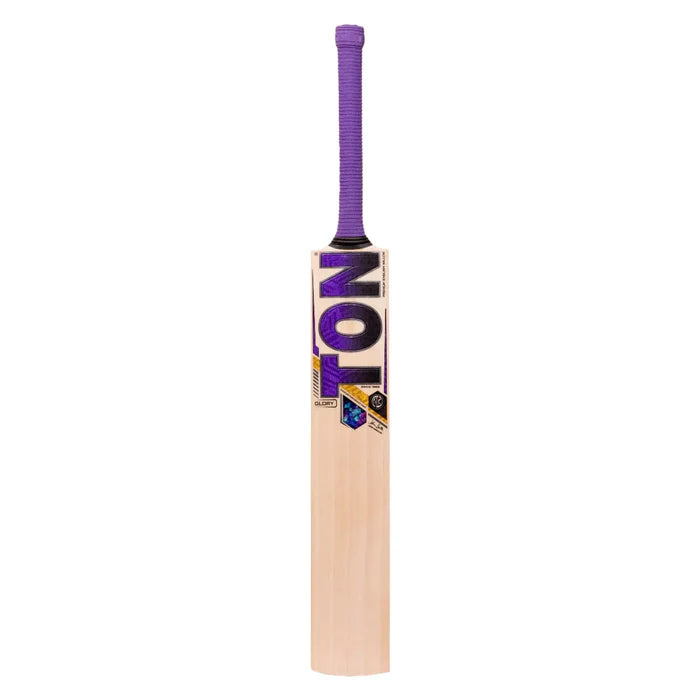 SS Ton Glory English Willow Cricket Bat SH