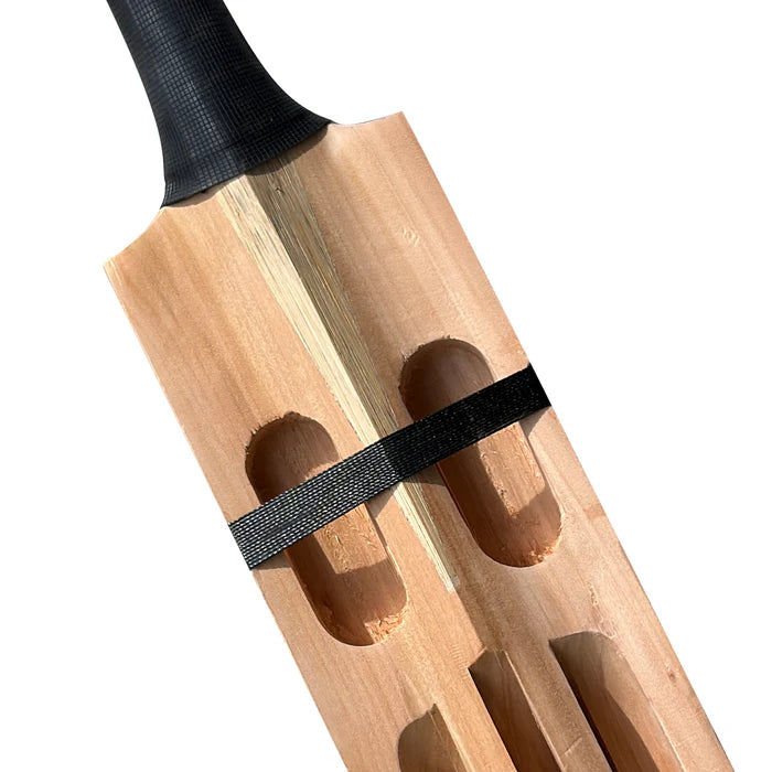 WS Limited Edition Scoop Kashmir Willow Bat