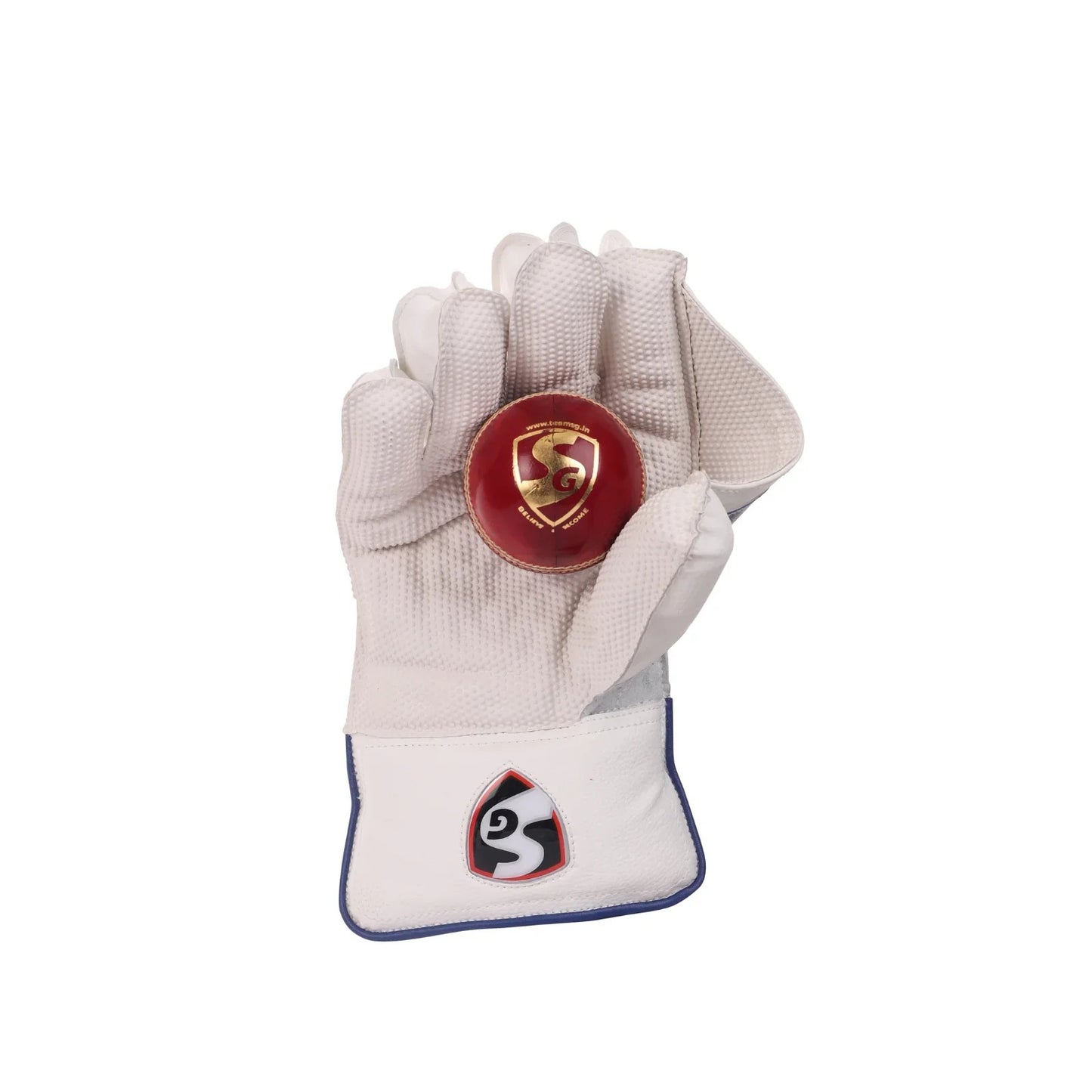 SG Club Wicket Keeping Gloves (Multi-Color)