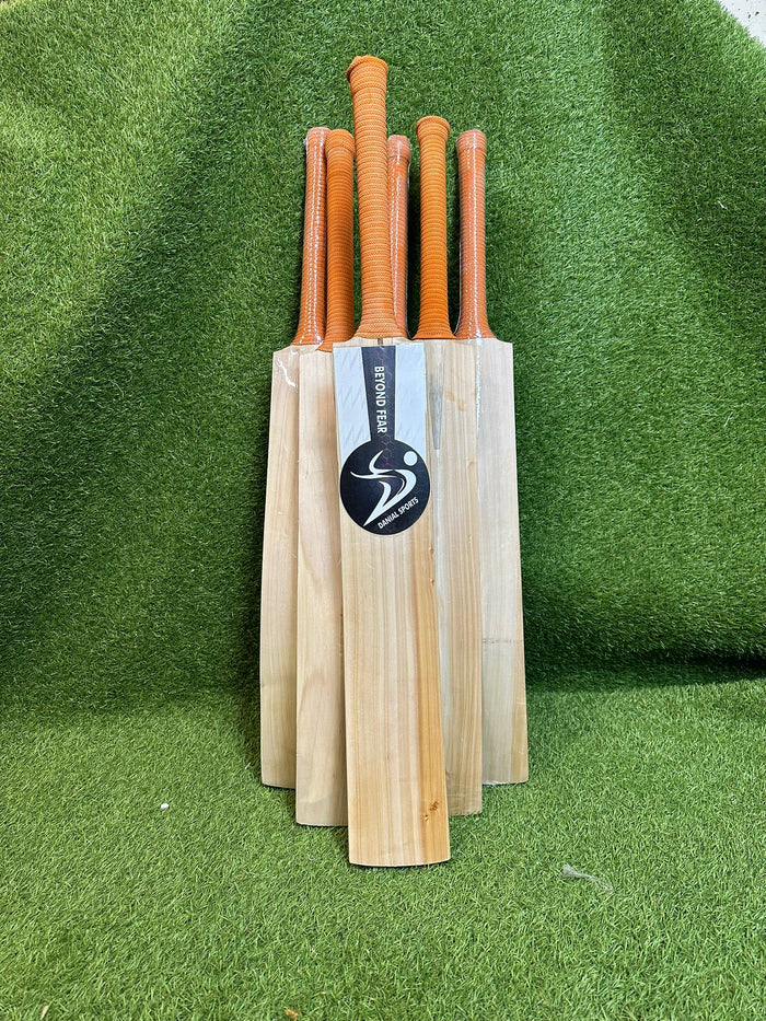 DS 1.0 Kashmir Willow Cricket Bat