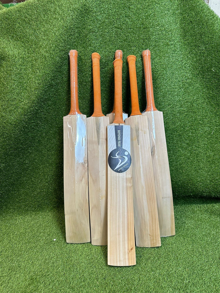 DS 1.0 Kashmir Willow Cricket Bat