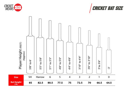 SS Rinku Singh Kashmir Willow Cricket Bat