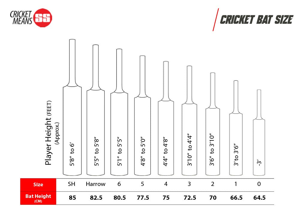 SS Premium English Willow Cricket Bat