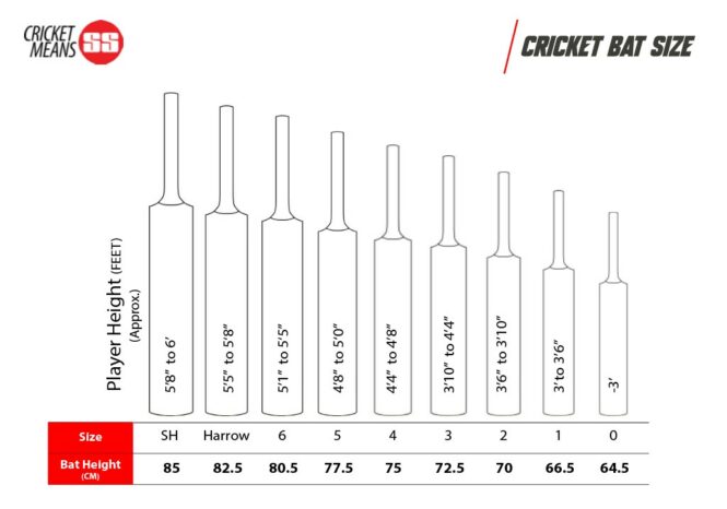 SS Retro Classic Elite English Willow Cricket Bat