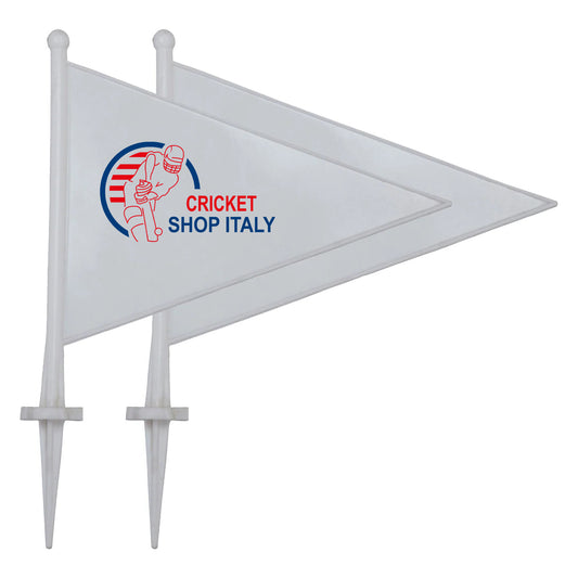 Boundary Flags