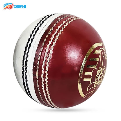 DS Practice Red/White Cricket Ball