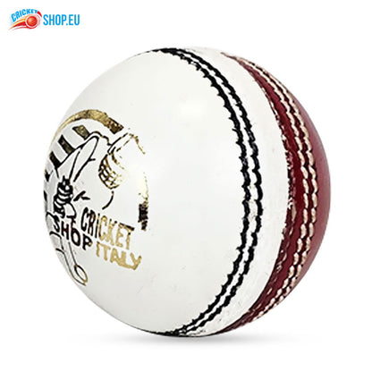 DS Practice Red/White Cricket Ball