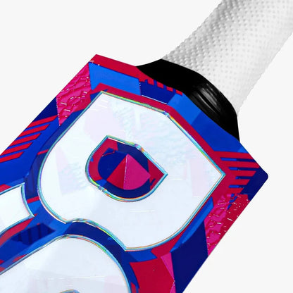 DSC Intense Attitude English Willow Cricket Bat