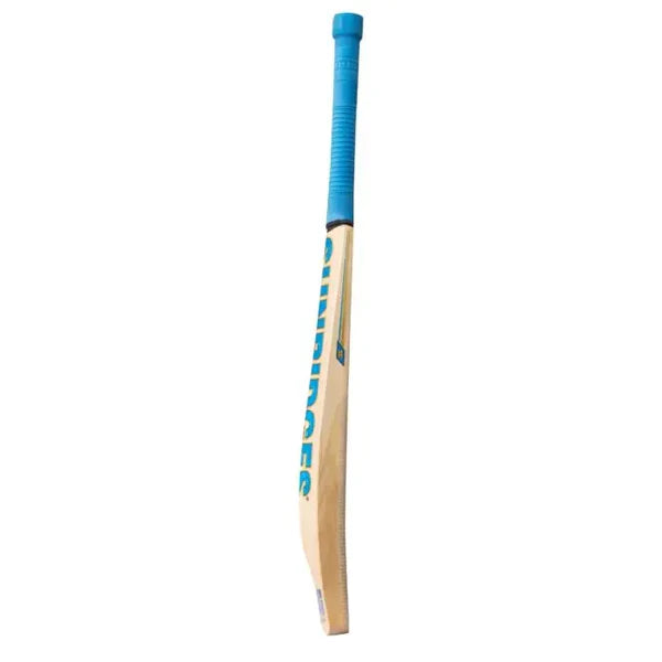 SS Vintage Bolt Kashmir Willow Cricket Bat 3