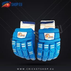 Blue Cricket Batting Gloves Adult