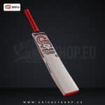 CA Plus 15000 Players Edition Cricket bats