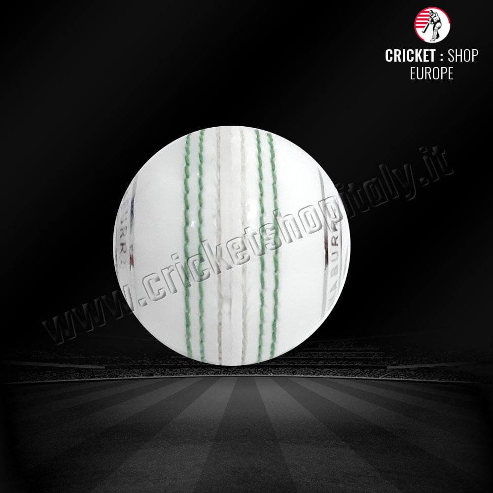 CRICKET BALL HARD PLASTIC (PRACTICE BALL)