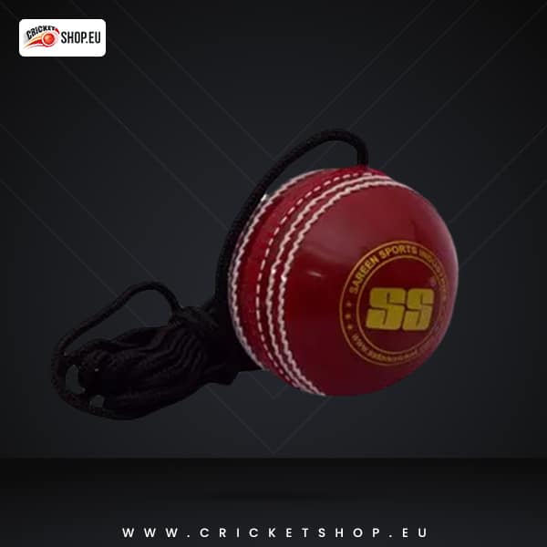 SS Cricket Ball- Hanging Ball