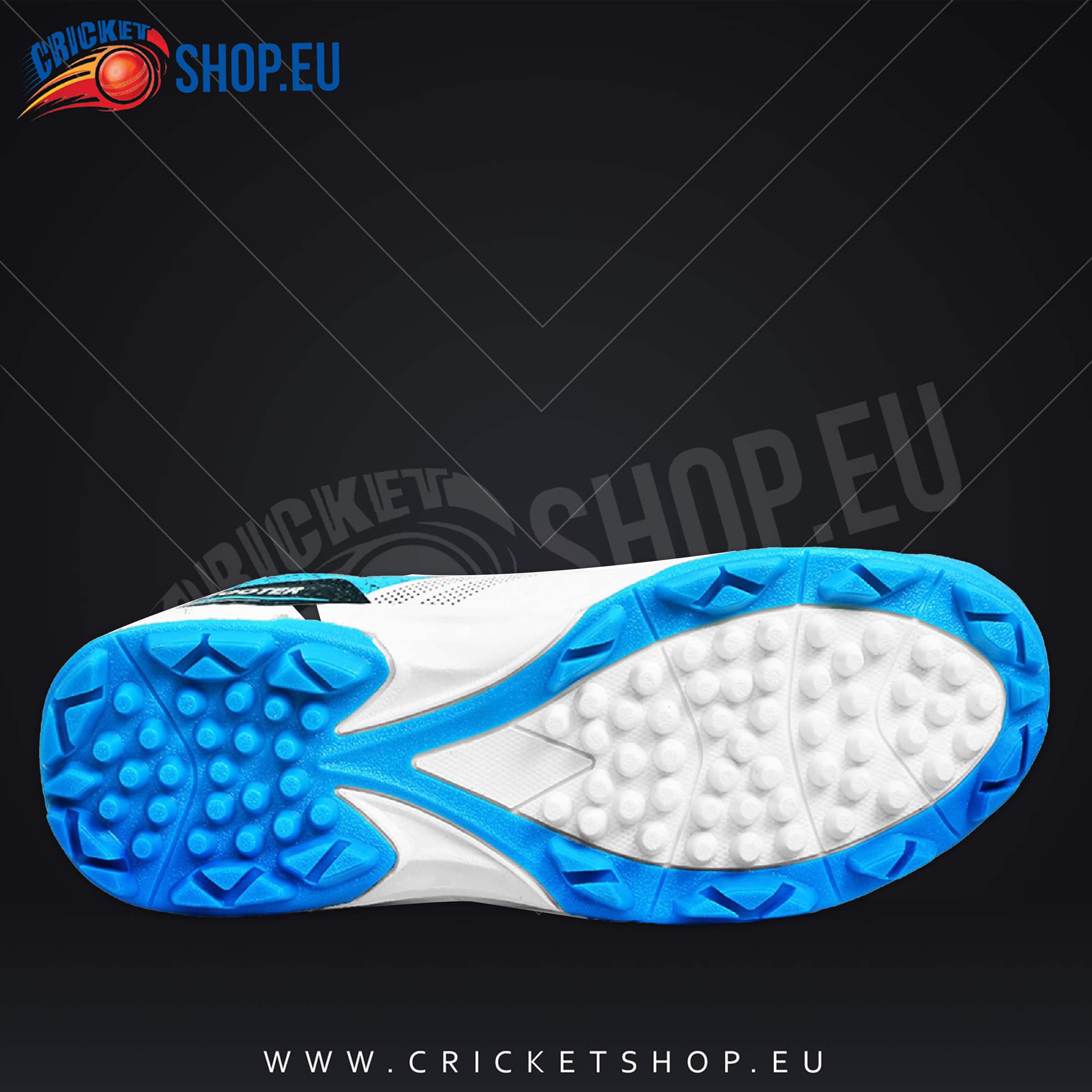 DSC Zooter Cricket Shoes (White-Blue)