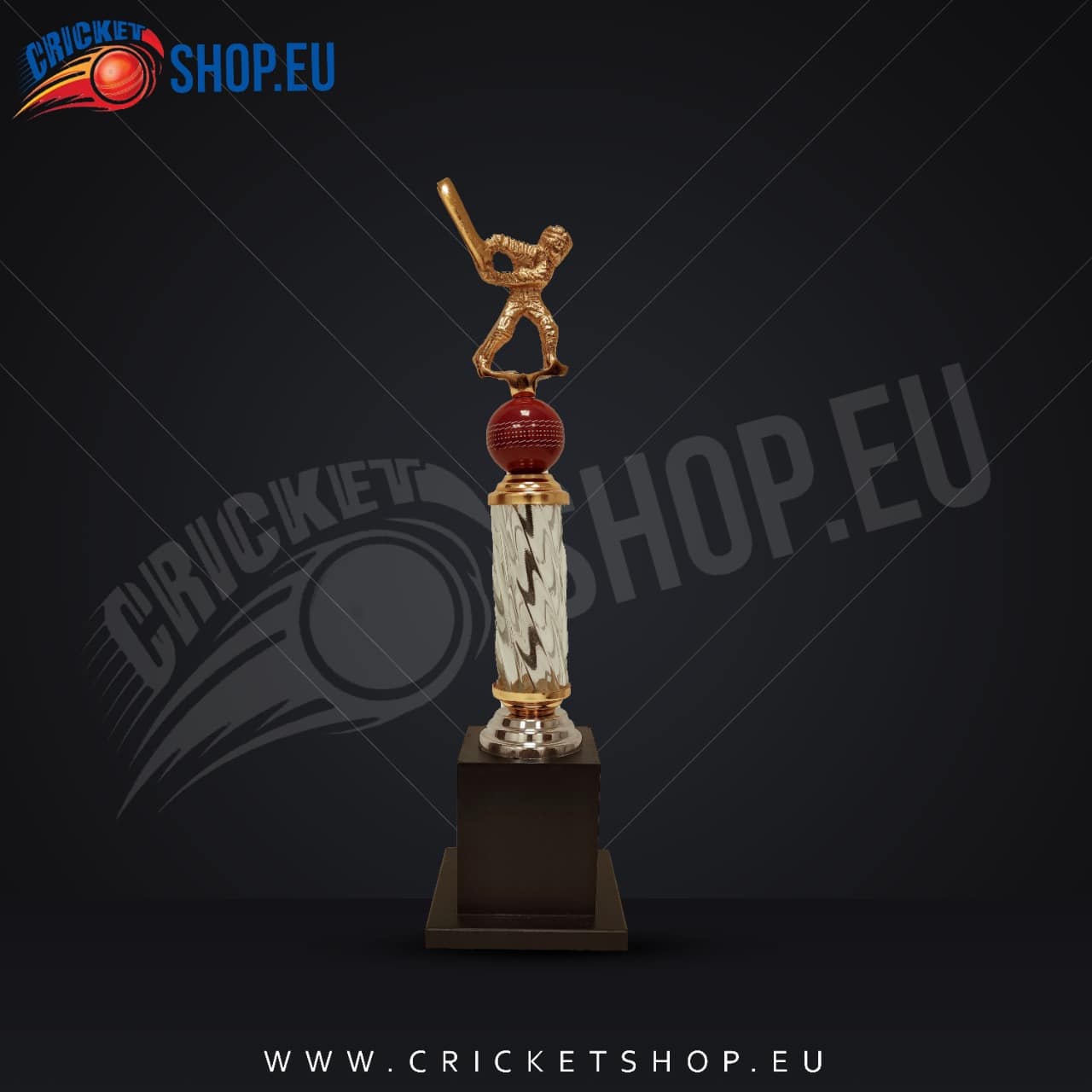 Cricket Batsman Trophy-270