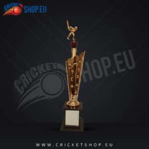 Icon Cricket Winner Trophy