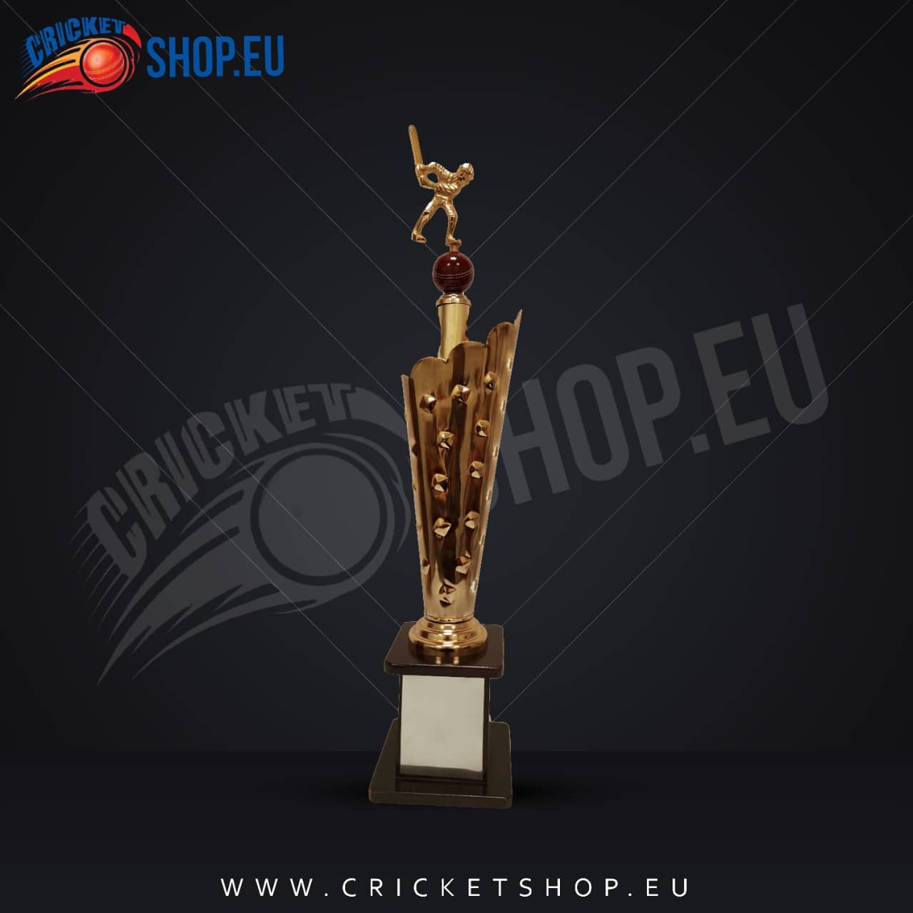 2022 Icon Cricket Winner Trophy-2472