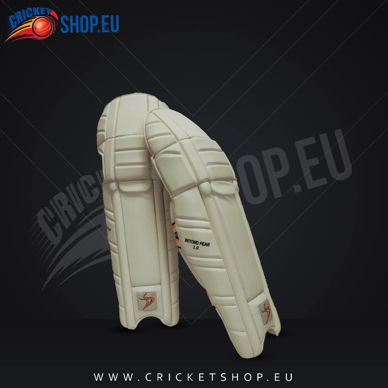 2022 DS Sports Cricket Batting Pads Youth