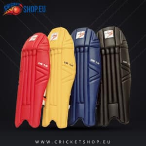 DS Sports 1.0 Wicket Keeping Pads