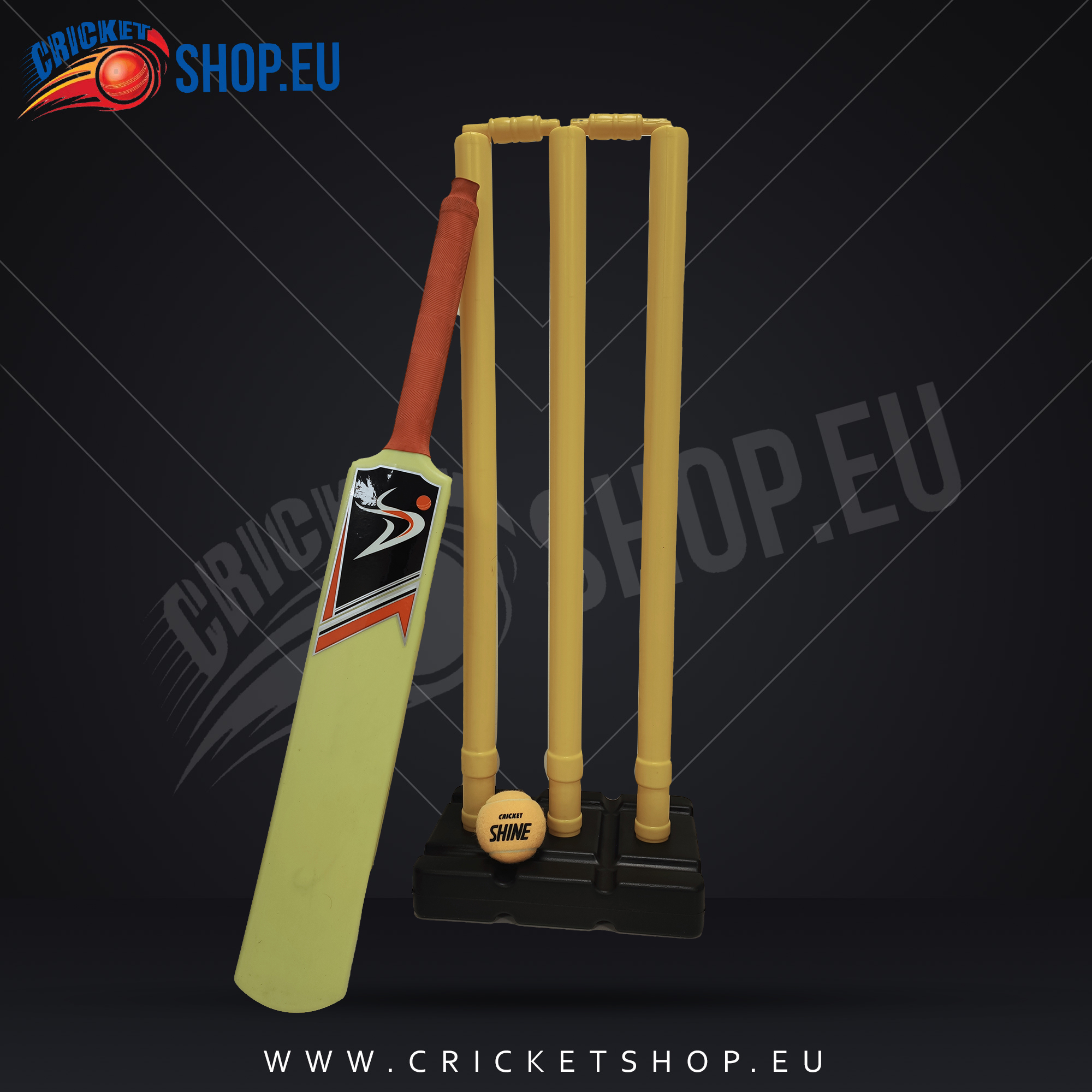DS Sports Plastic Size 4 Cricket Bat Set