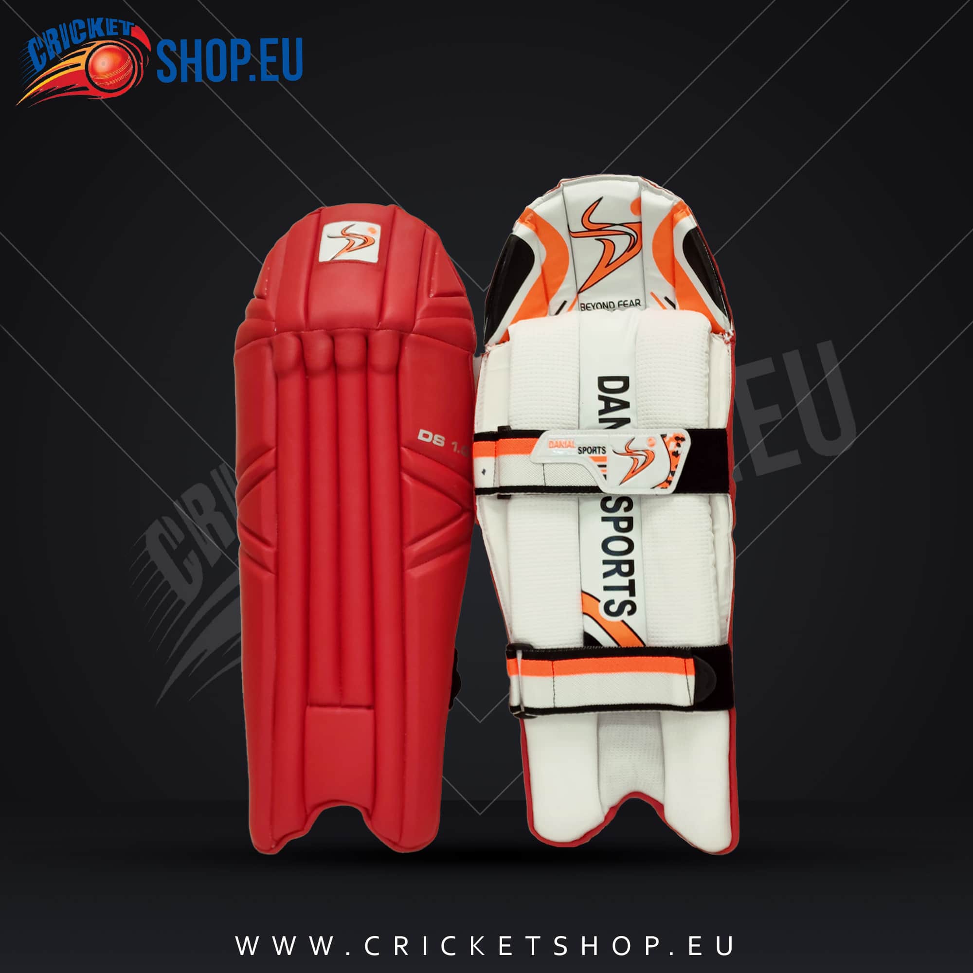 2023 DS Sports 1.0 Wicket Keeping Pads
