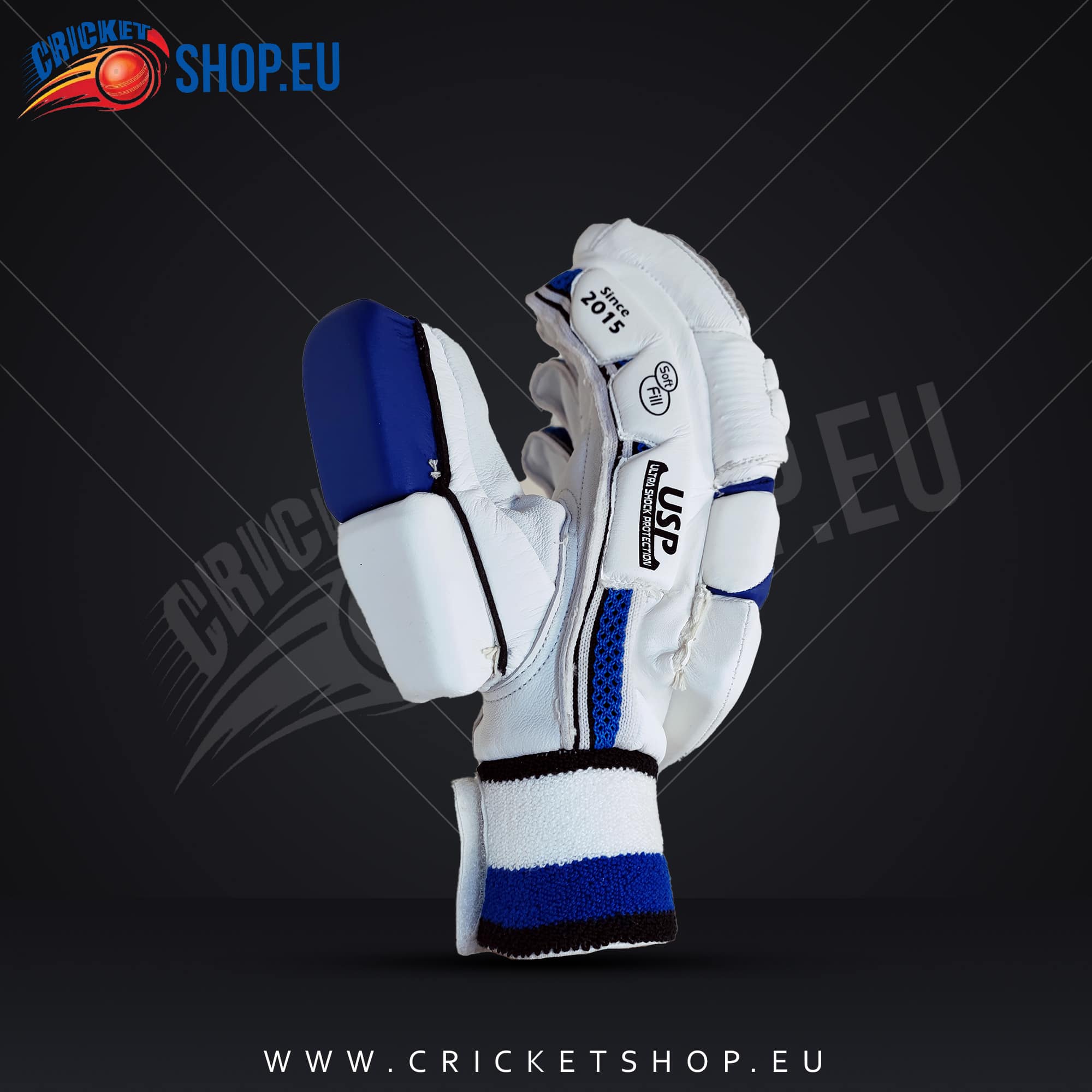 2023 DS Sports 1.0 White Blue Batting Gloves
