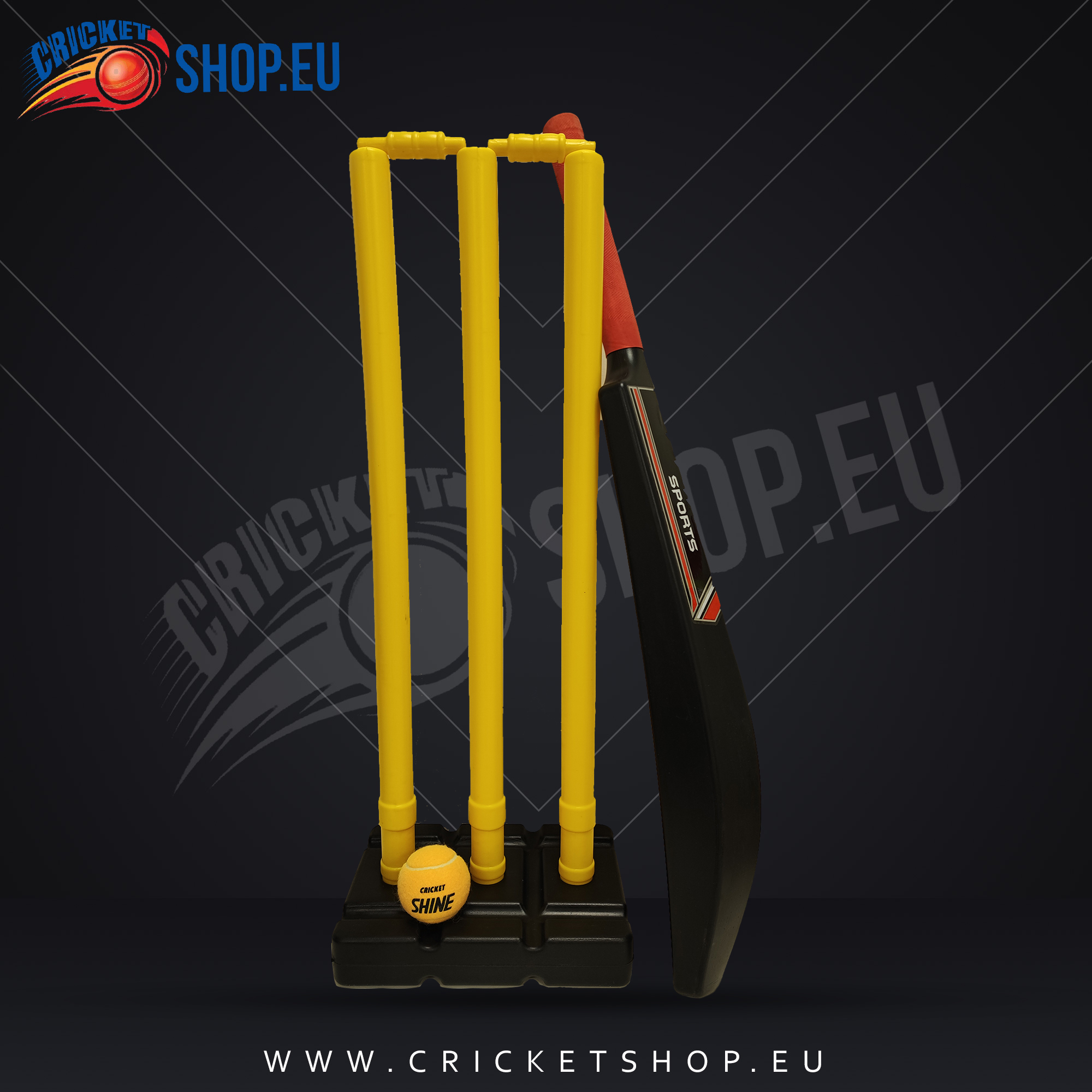 DS Sports Plastic Adult Cricket Bat Set